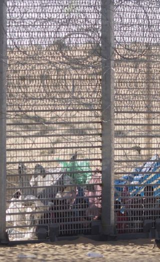 Gjerdet mot Egypt beskytter Israel mot afrikansk innvandring.