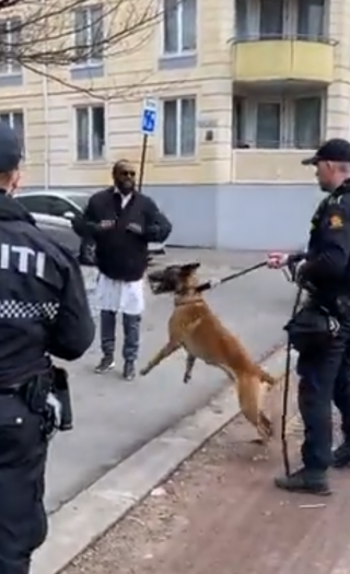 Uintegrerbare barbarer liker ikke bikkjer.